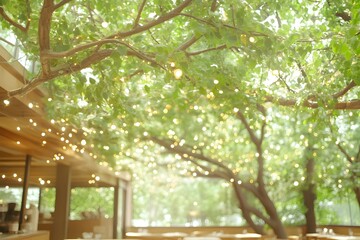 Outdoor cafe fairy lights under tree branches