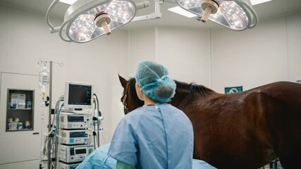 Veterinarian in Surgical Attire with a Horse in a Modern Operating Room, Demonstrating Animal Surgery Techniques and Hospital Equipment for Equine Care - Powered by Adobe