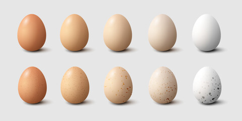 Plain and Speckled Eggs on White Background