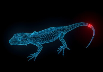 Fototapeta premium A detailed 3D model of a lizard showcasing its skeletal structure with highlighted areas for educational and biological studies