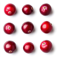 A set of cranberries arranged neatly, showcasing their round shape and rich color, isolated on a white background