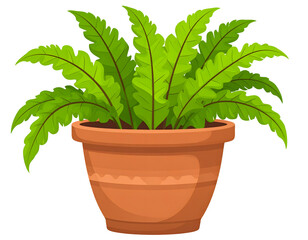 Potted fern plant