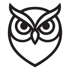 black and white owl