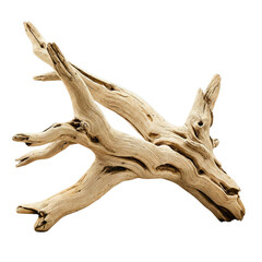 Dynamic driftwood piece isolated on transparent background png


