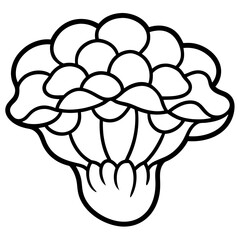 Maitake Mushroom Minimalist Line Art