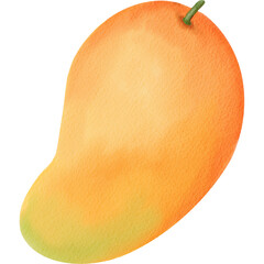 Mango Watercolor Illustration