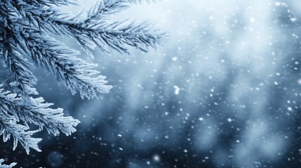 Obraz premium Snowy Pine Branch Under Falling Snowflakes in Winter Wonderland