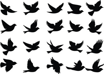 Fototapeta premium Collection of flying birds on white background. vector set. PNG white background 