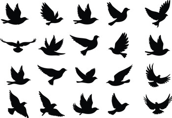 Fototapeta premium Collection of flying birds on white background. vector set. PNG white background 