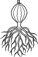 Botanical Root Structure on White Background