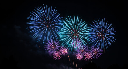 Dazzling Fireworks Display: Exploding Colors in the Night Sky | Celebrations, Festivities & Special Occasions