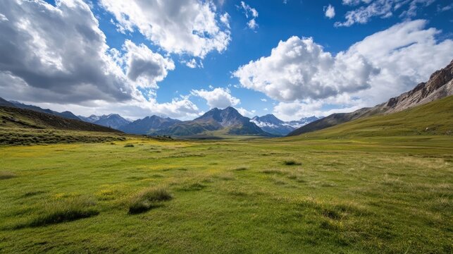 Vast green meadow stretches towards majestic snow-capped mountains under a partly cloudy sky, creating a breathtaking alpine landscape. : Generative AI - Powered by Adobe