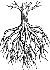 Sketch Style Root Illustration on White Background