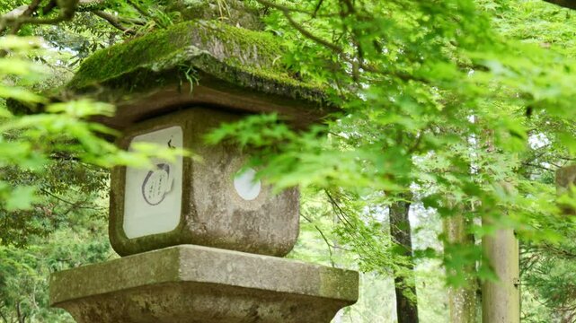 日本、奈良県、奈良市、春日大社、神社、神苑、萬葉植物園、植物、藤、庭園、橋、木、青空、綠色、春日社、古都奈良の文化財、奈良時代、重要文化財