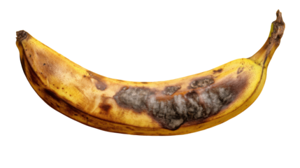 Rotten Banana: A close-up of a decaying banana, its yellow peel marred by unsightly brown and black spots, a symbol of overripeness and the passage of time.