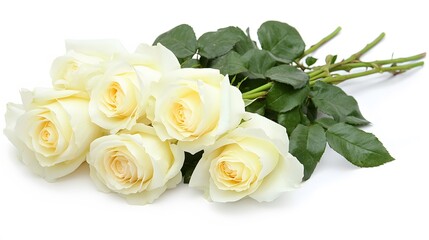Elegant Bouquet of Cream Roses Closeup Shot