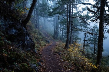 Autumn Forest Path with Green Trees, Golden Leaves and Dawn Fog