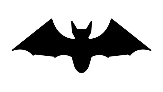 Flying bat silhouette icon animation. Bat vampire flying concept logotype background.