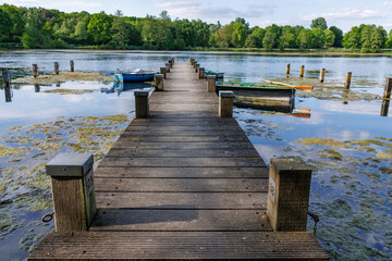 Obraz premium Frühling am Pröbsting See in Borken