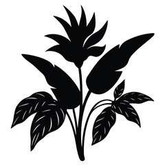 Elegant Black and White Tropical Flower Silhouette Illustration