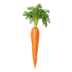 Fresh carrot with vibrant green leaves, healthy and nutritious, perfect for salads and cooking