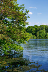 Fr&uuml;hling am Pr&ouml;bsting See in Borken