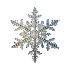 Intricate Ice Crystal Snowflake on Black Background Winter Nature Macro Photography