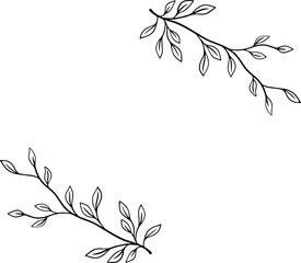 branch with leaves elegant frame hand drawing element