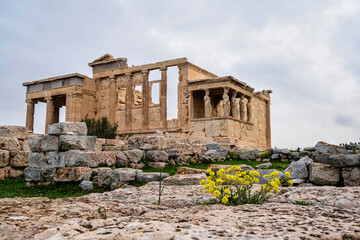 Erechtheion Caryatids with Wildflowers on Acropolis