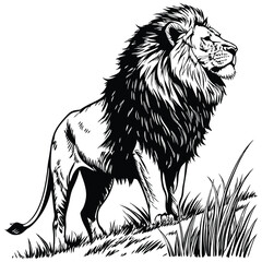 Black and White Line Art of a Majestic Lion with Bold Mane and Powerful Stance