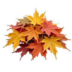 Fototapeta premium Colorful autumn leaves in shades of red, orange, and yellow create vibrant display, symbolizing beauty of fall