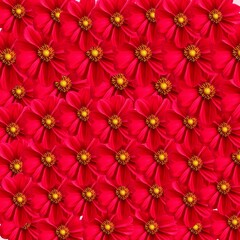 red flower background