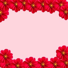 Red frame flower background