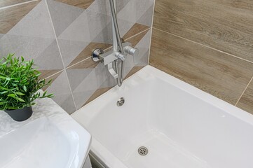 bathroom corner with a white tub, chrome shower fixture, patterned tiles, and a small green plant.