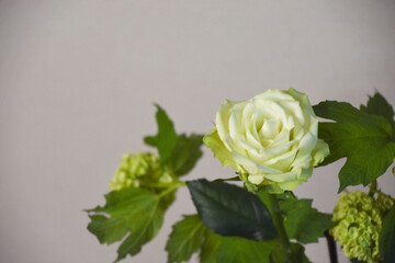 薔薇とスノーボール