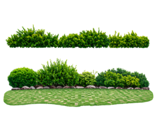 Green garden design elements