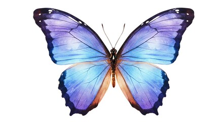 Fototapeta premium Butterfly with blue and purple watercolor wings