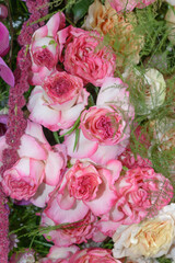 close-up of roses and foliage in an outdoor display