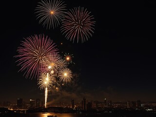 Fototapeta premium Spectacular Fireworks Display Over Night Sky