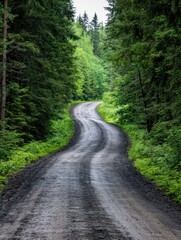 Fototapeta premium A winding gravel road disappears into a lush green forest, sunlight dappling through the trees, creating a serene and peaceful atmosphere. : Generative AI