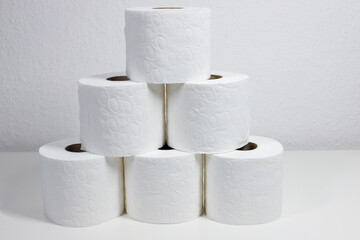 toilet paper. hygiene. toilet paper for toilet