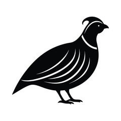 Simplified silhouette illustration of a quail bird in black and white against a plain white background