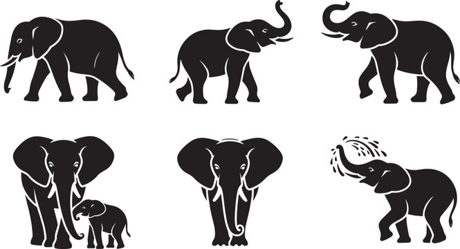 Black and white vector illustration of various playful and majestic african elephant silhouettes
