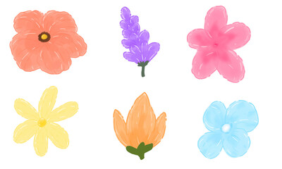 set of watercolor flowers