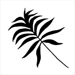 Isolated black design element of tropical leaves silhouette. Perfect for create fashion apparel fabric, trendy package, bedding, wallpaper, accessories, outerwear, cloth textile.