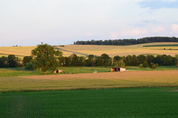 sunset light on farmland with cattle huts