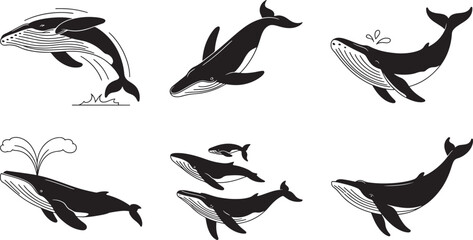 Vector illustration collection of six distinct whales in various poses against a white background