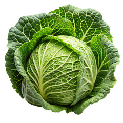 Obraz premium Cabbage isolated on transparent background 