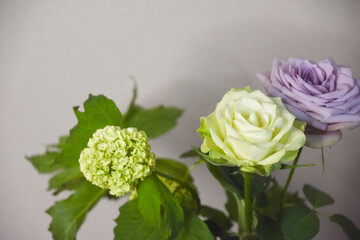 薔薇とスノーボール