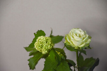 薔薇とスノーボール